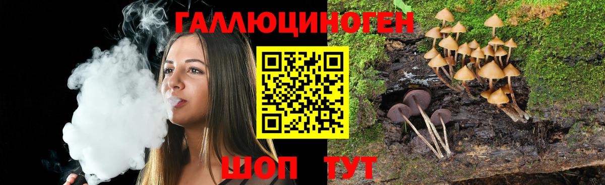Галлюциногенные грибы мухоморы  Псилоцибиновые грибы мицелий  Вятские Поляны  Вход с VPN 